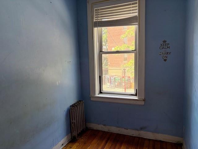 4042 Hubbard Place Flatlands Brooklyn NY 11210
