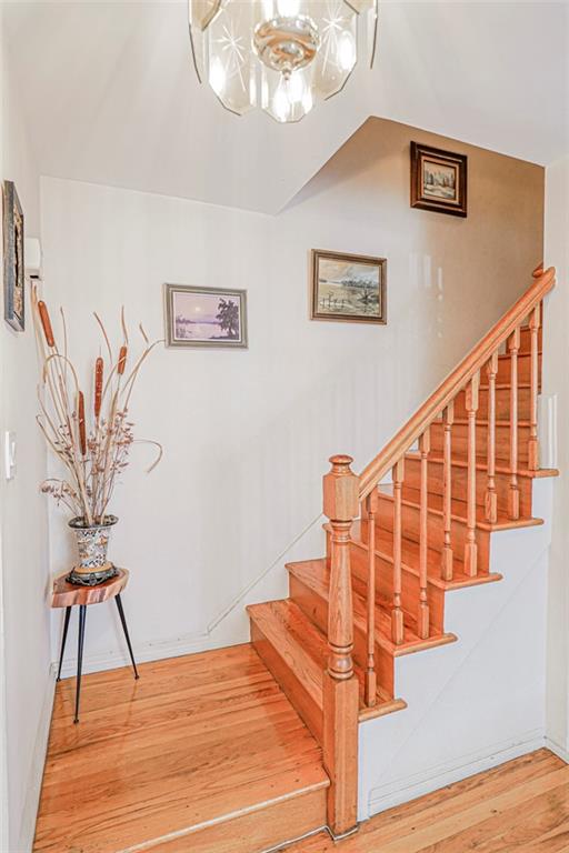 2937 Voorhies Avenue Sheepshead Bay Brooklyn NY 11235