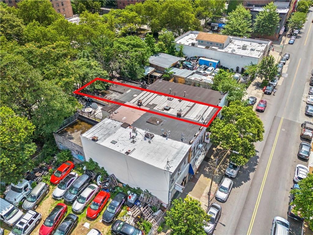 343 Rockaway Avenue Ocean Hill Brooklyn NY 11212