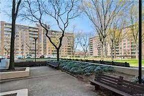 12399 Flatlands Avenue East New York Brooklyn NY 11207