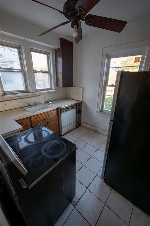966 East 104th Street Canarsie Brooklyn NY 11236