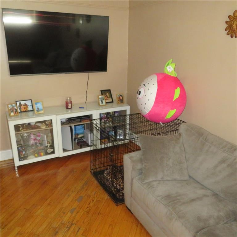 1959 East 28th Street Madison Brooklyn NY 11229