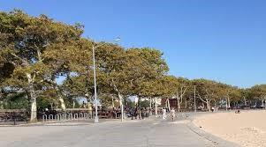 50 Shore Boulevard Manhattan Beach Brooklyn NY 11235