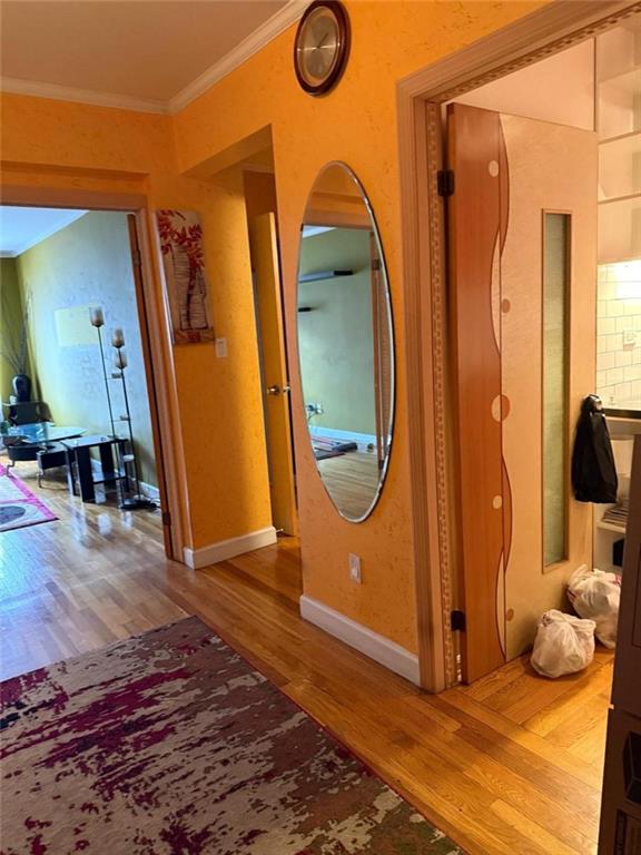 3025 Ocean Avenue Sheepshead Bay Brooklyn NY 11235