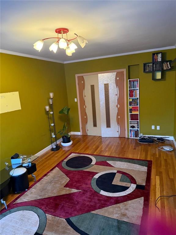3025 Ocean Avenue Sheepshead Bay Brooklyn NY 11235