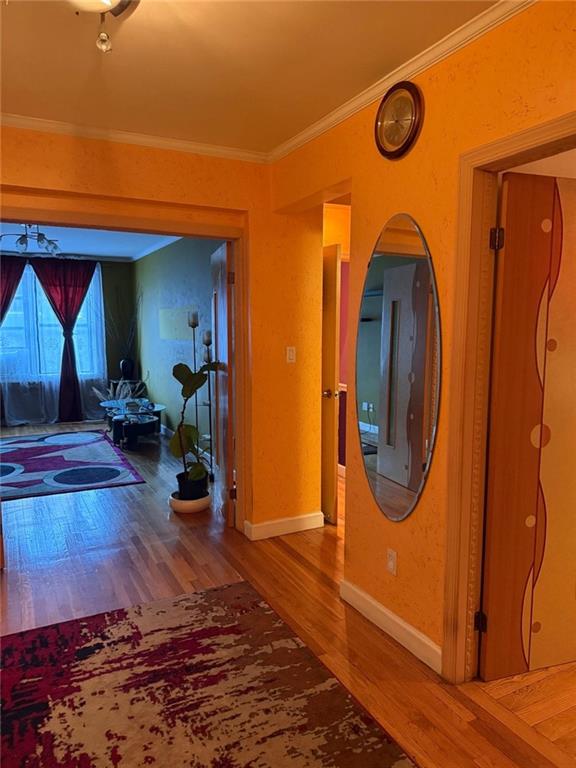 3025 Ocean Avenue Sheepshead Bay Brooklyn NY 11235