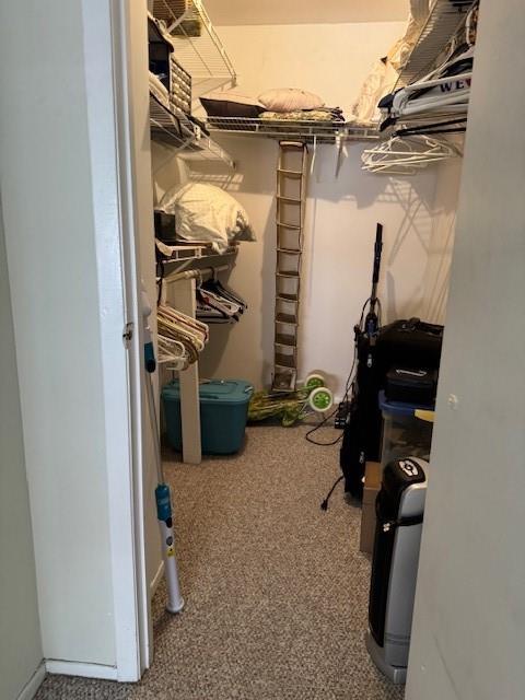 3171 Whitney Avenue Marine Park Brooklyn NY 11229
