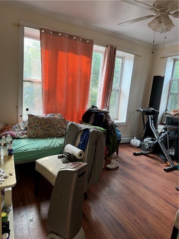 1773 Ocean Avenue Midwood Brooklyn NY 11230