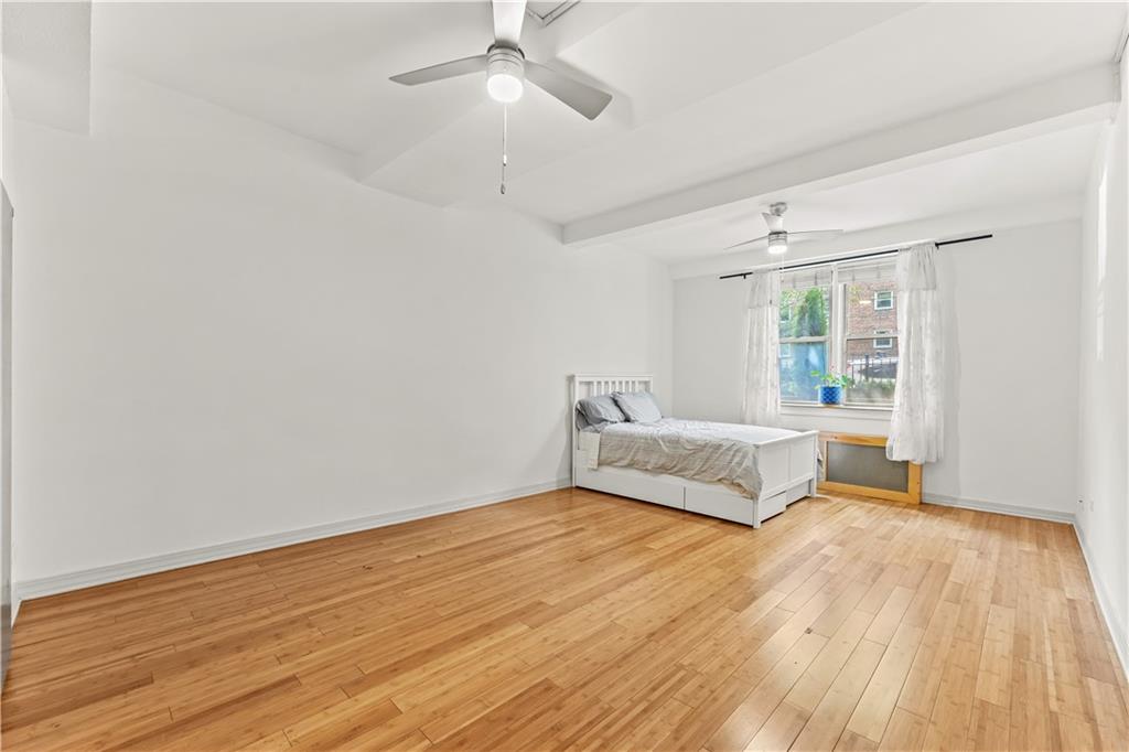 3203 Nostrand Avenue Madison Brooklyn NY 11229