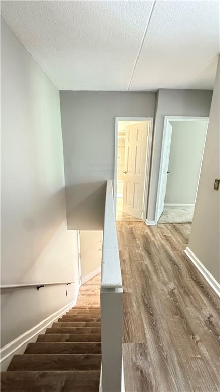 41 Wellington Court New Springville Staten Island NY 10314