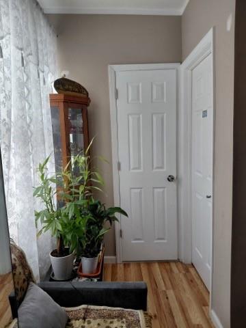 59B Ide Court Brighton Beach Brooklyn NY 11235