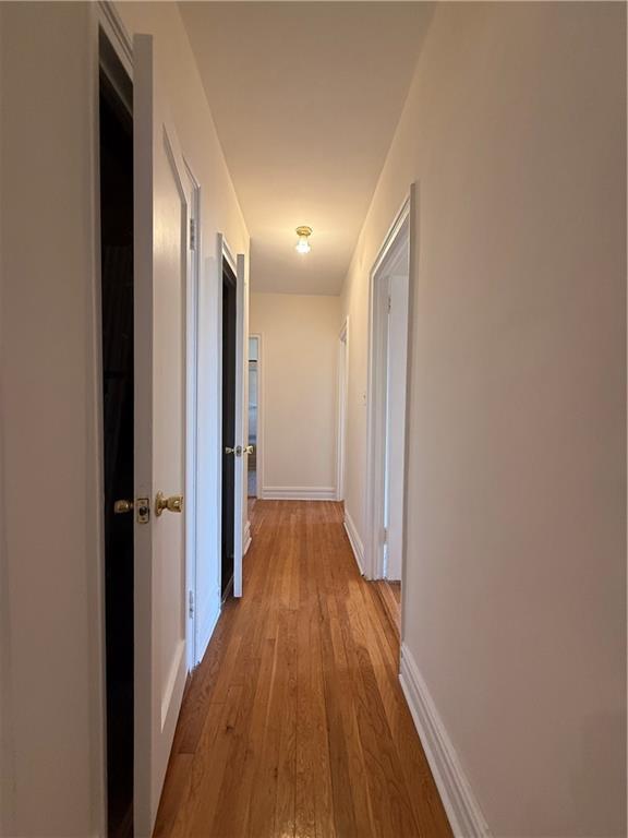 1717 Avenue D Midwood Brooklyn NY 11230
