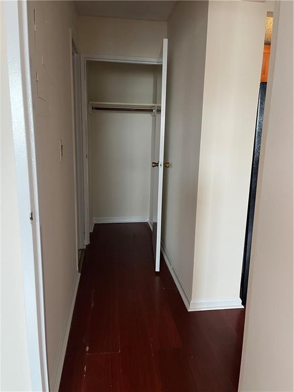 2955 Shell Road Coney Island Brooklyn NY 11224