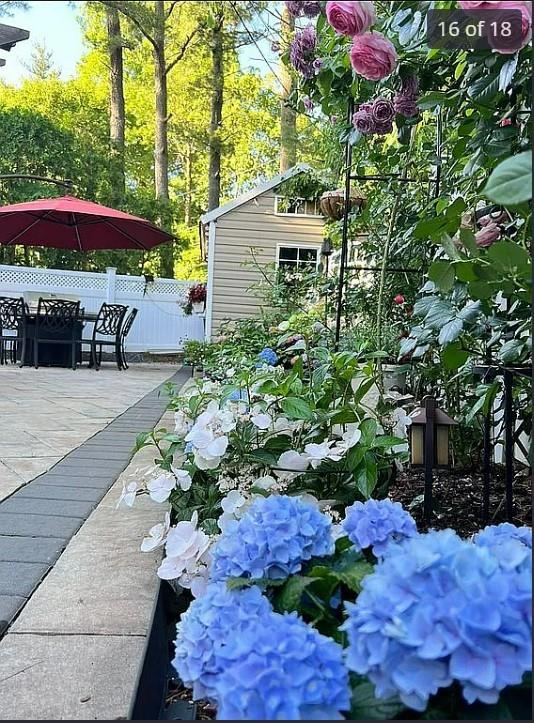 116 Nottingham Road Out of NYC New Hyde Park NY 11040