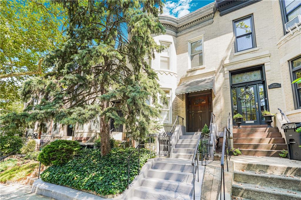 167 Senator Street Bay Ridge Brooklyn NY 11220