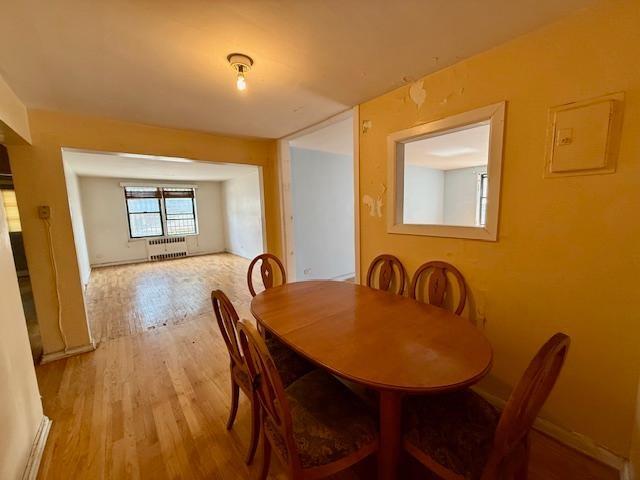 1119 Ocean Parkway Midwood Brooklyn NY 11230