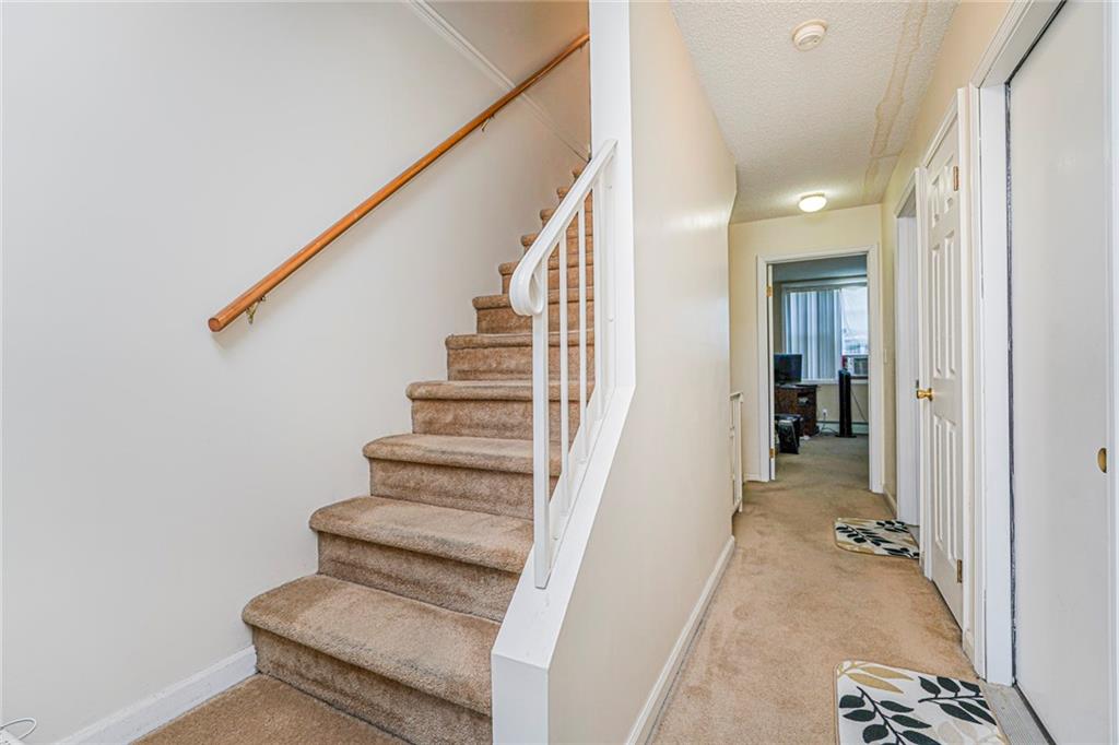 3215 Mermaid Avenue Coney Island Brooklyn NY 11224
