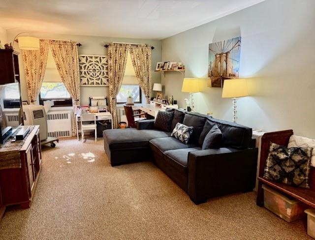 2165 Brigham Street Marine Park Brooklyn NY 11229