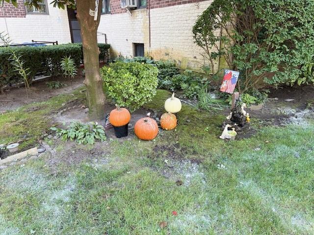 8889 Bay 16th Street Bath Beach Brooklyn NY 11214