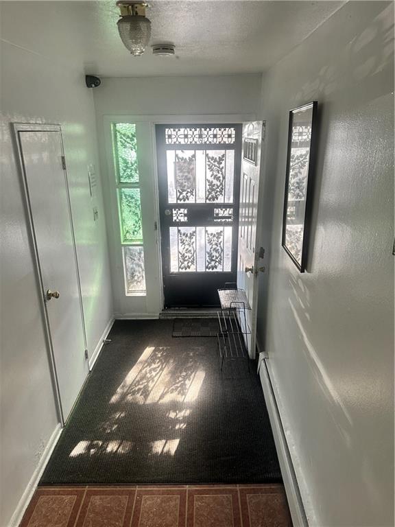 557 East 80th Street Canarsie Brooklyn NY 11236