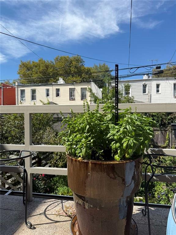 4414 Bedford Avenue Sheepshead Bay Brooklyn NY 11229