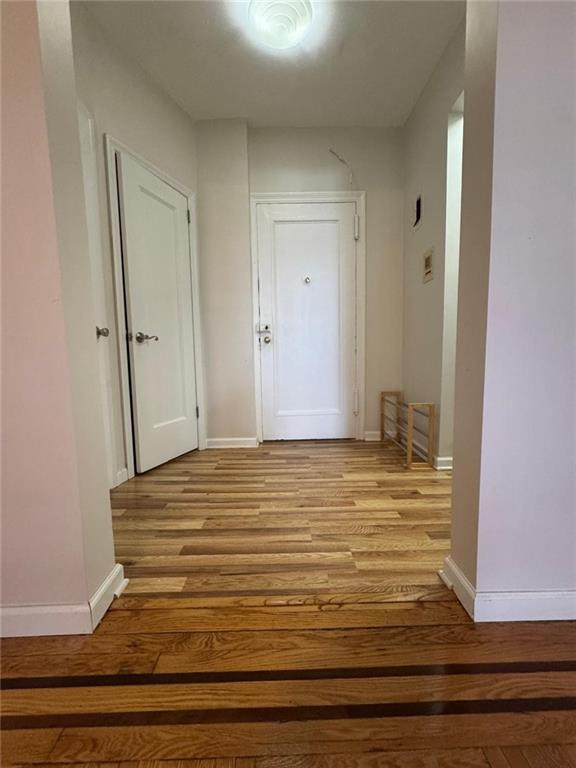 1053 East 13th Street Midwood Brooklyn NY 11230