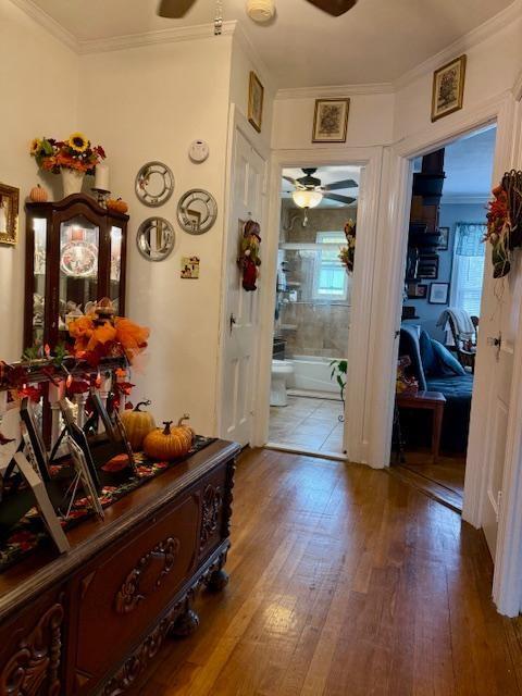 1861 East 32nd Street Marine Park Brooklyn NY 11234