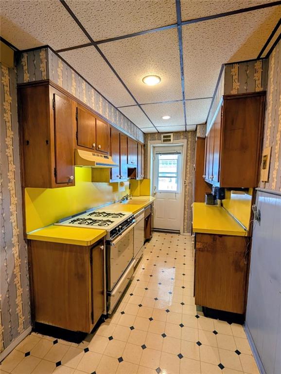 2069 East 28th Street Madison Brooklyn NY 11229