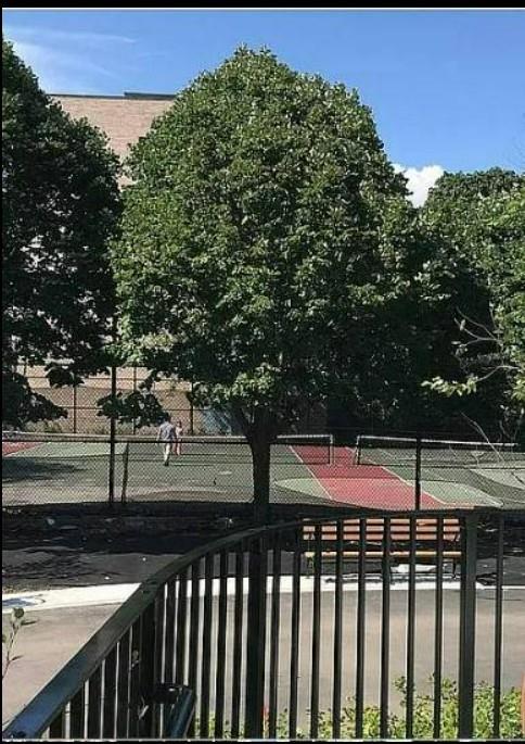 1730 East 14th Street Homecrest Brooklyn NY 11229