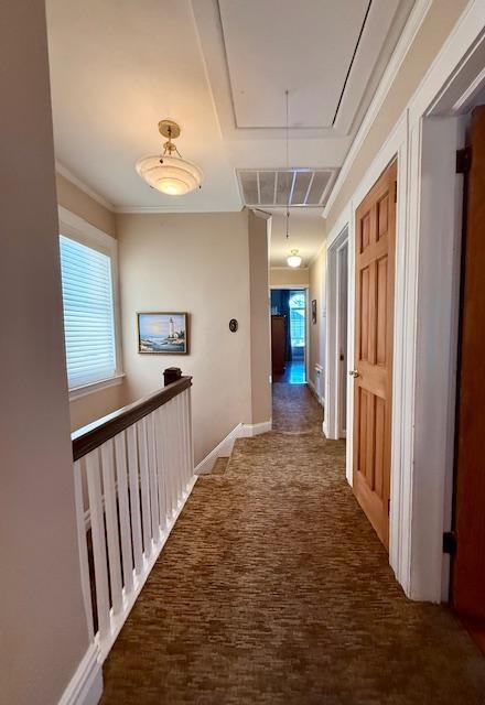 1817 Madison Place Marine Park Brooklyn NY 11229