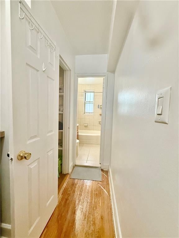3165 Nostrand Avenue Midwood Brooklyn NY 11229