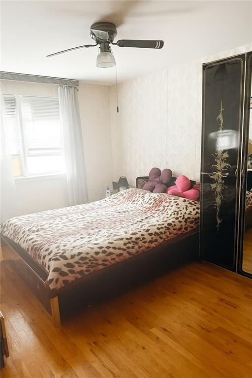 3956 Nostrand Avenue Sheepshead Bay Brooklyn NY 11235