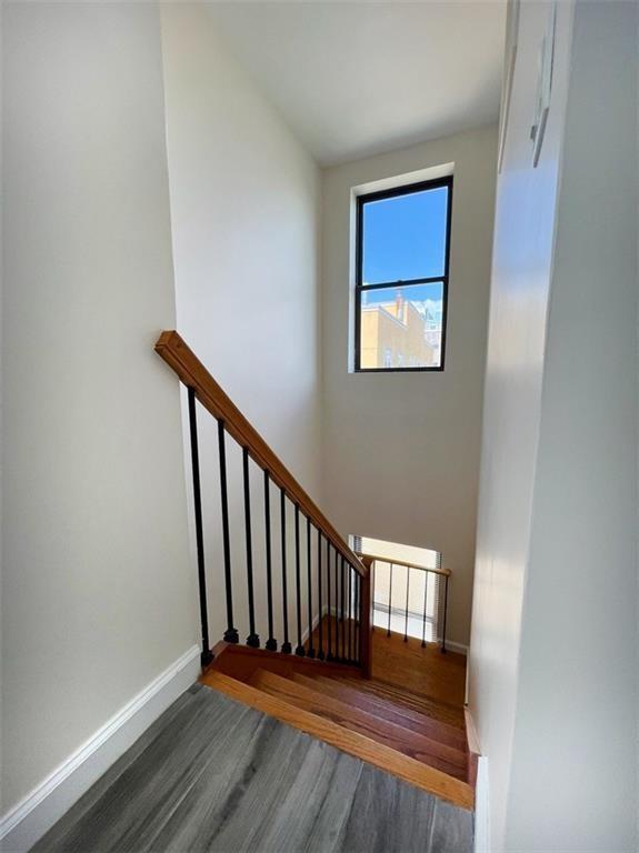407 Ocean View Avenue Brighton Beach Brooklyn NY 11235