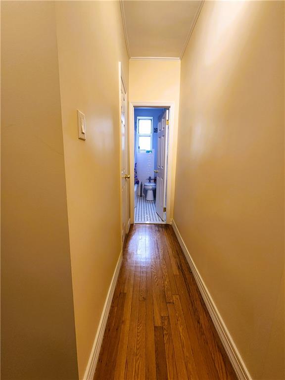 1801 Avenue N Midwood Brooklyn NY 11230