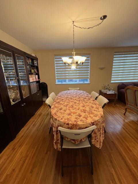1555 East 13th Street Midwood Brooklyn NY 11230