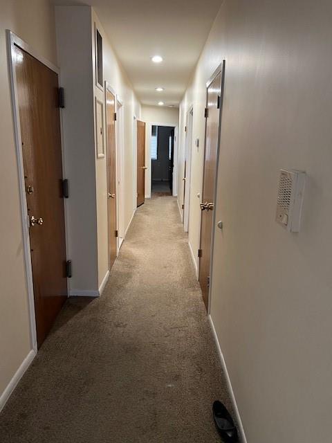 1555 East 13th Street Midwood Brooklyn NY 11230