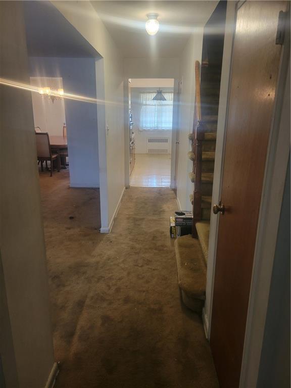 557 East 51st Street East Flatbush Brooklyn NY 11203