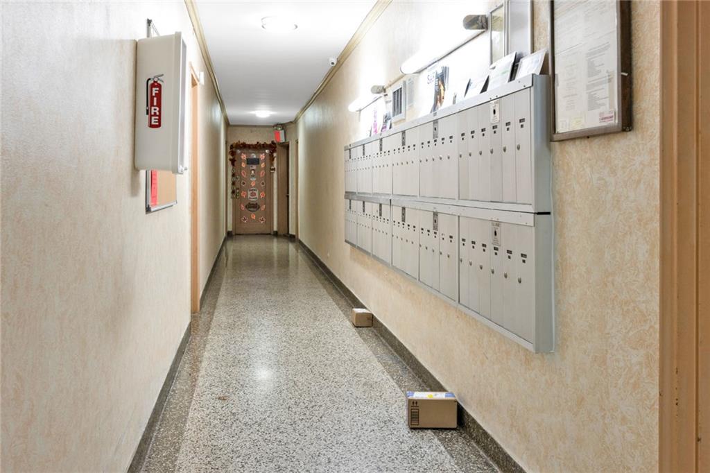 2717 East 28th Street Sheepshead Bay Brooklyn NY 11235