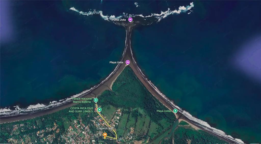 54 Tali C. Street Out of NYC Other XX 60504