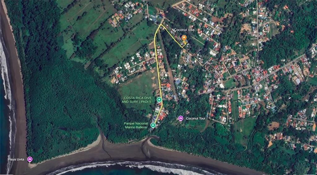 54 Tali C. Street Out of NYC Other XX 60504