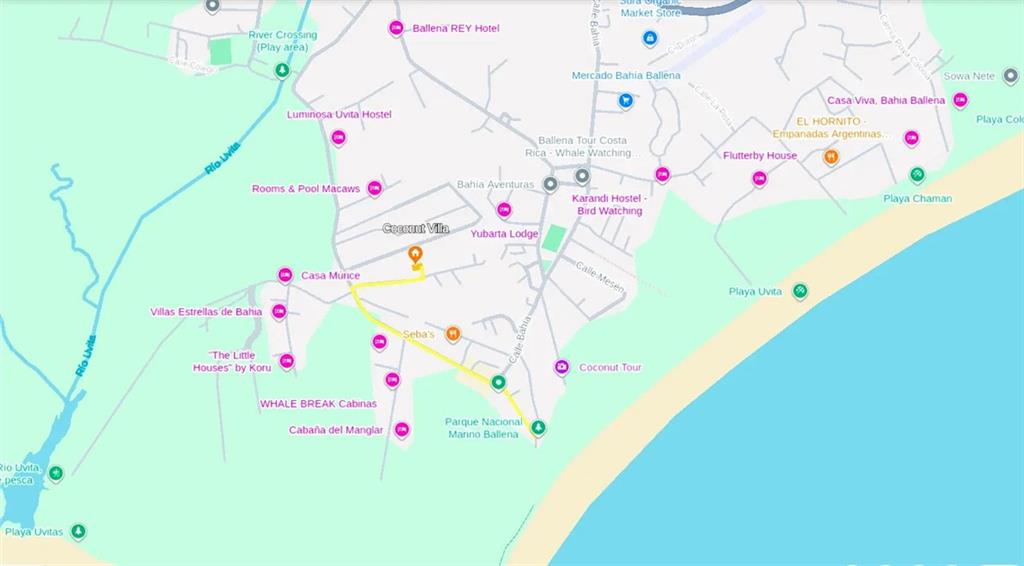 54 Tali C. Street Out of NYC Other XX 60504