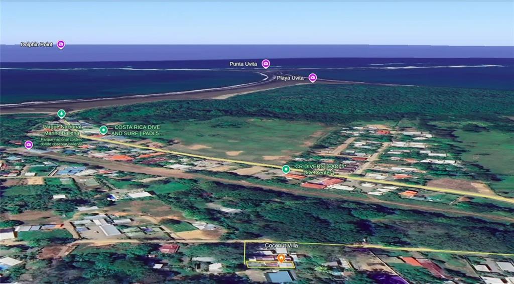 54 Tali C. Street Out of NYC Other XX 60504