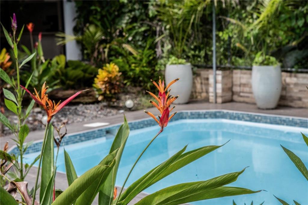 74 Los Abogados Street Out of NYC Other XX 00000