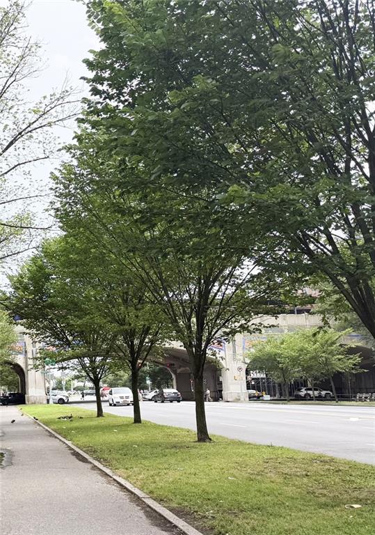 3039 Ocean Parkway Brighton Beach Brooklyn NY 11235