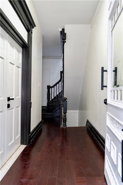 43 Linden Street Bushwick Brooklyn NY 11221