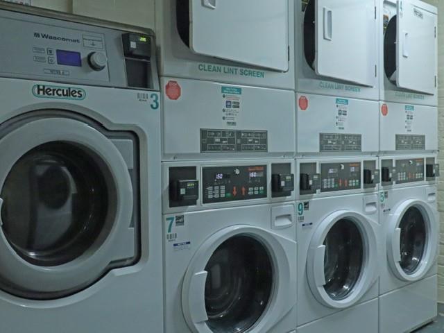 680 81st Street Dyker Heights Brooklyn NY 11228