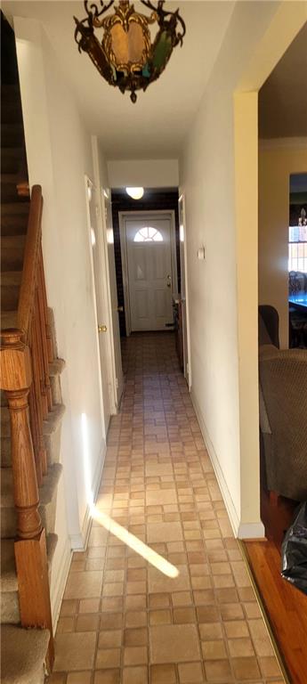 1411 East 53rd Street Old Mill Basin Brooklyn NY 11234