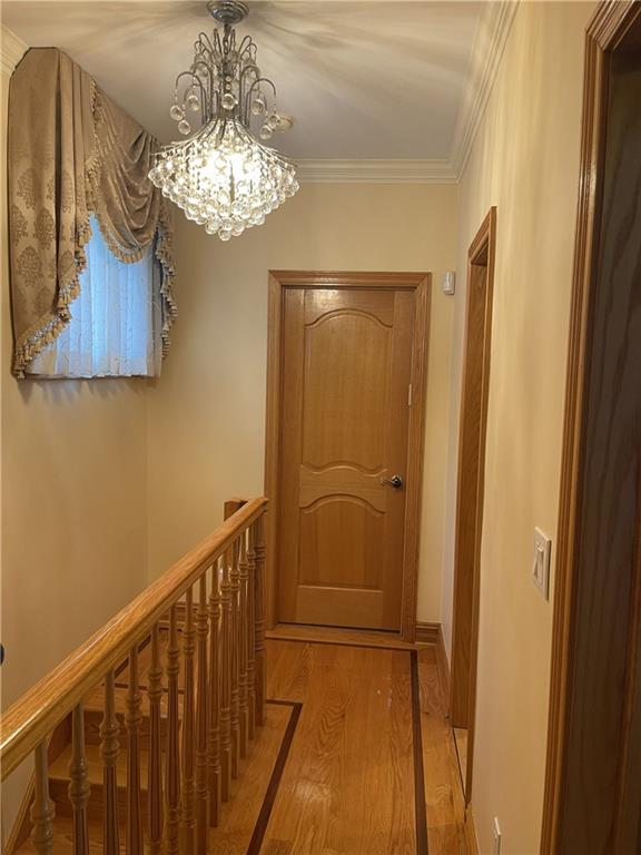 1645 West 11 Street Bensonhurst Brooklyn NY 11223