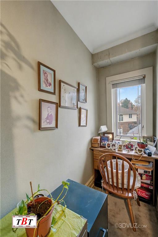 1481 East 23rd Street Midwood Brooklyn NY 11210