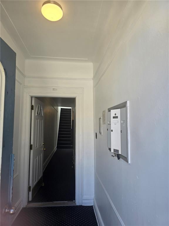 8423 14th Avenue Bensonhurst Brooklyn NY 11228